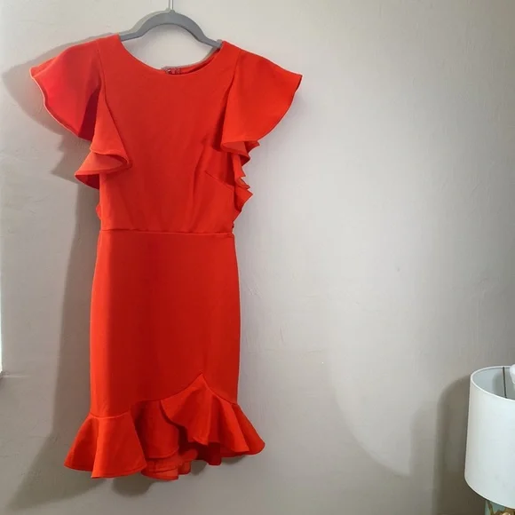 Hello Molly TAKE CHANCES DRESS RED. Mini Dress Size 4 - Picture 8 of 9